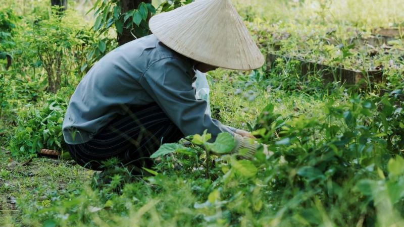 Phan Gia Xanh Garden