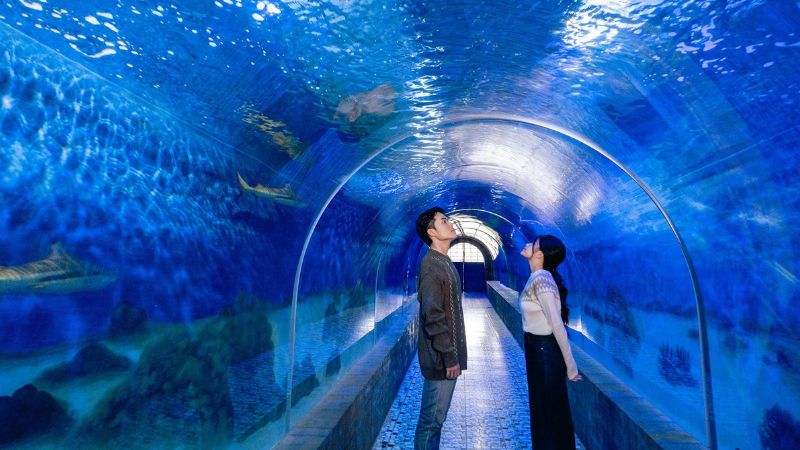 Viện Hải Dương Học Nha Trang