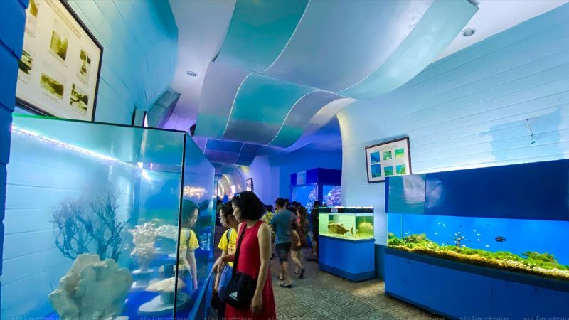 Viện Hải Dương Học Nha Trang