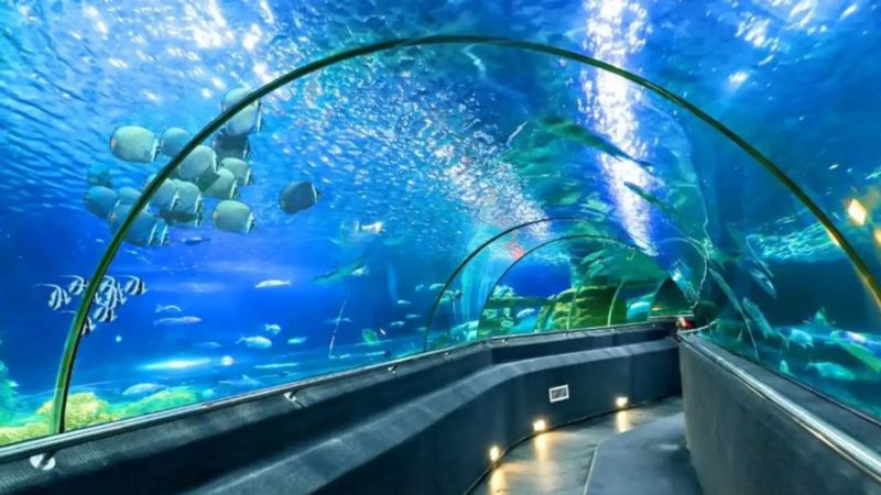 Viện Hải Dương Học Nha Trang