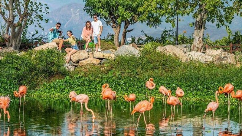 Wonder Park Nha Trang