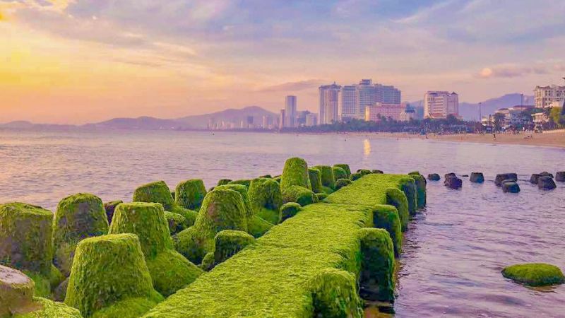 Bãi Rêu Nha Trang