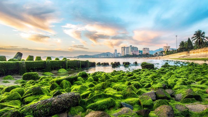 Bãi Rêu Nha Trang