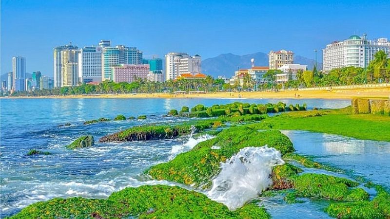 Bãi Rêu Nha Trang