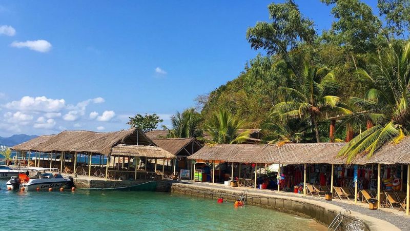 Con Sẻ Tre Nha Trang