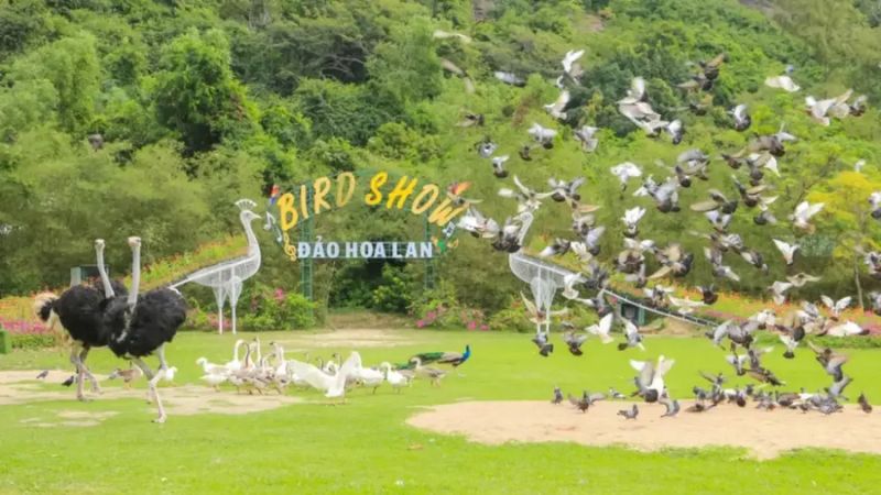 Đảo Hoa Lan Nha Trang