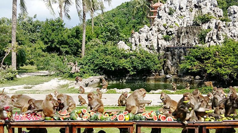 Đảo Khỉ Nha Trang