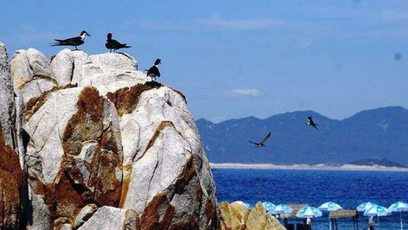 Đảo Yến – Hòn Nội Nha Trang