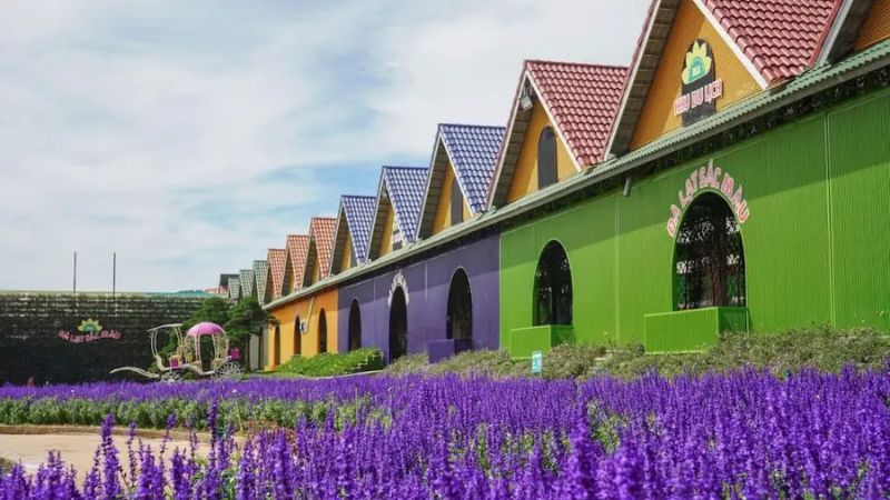 Fresh Garden (Làng Hoa Vạn Thành)