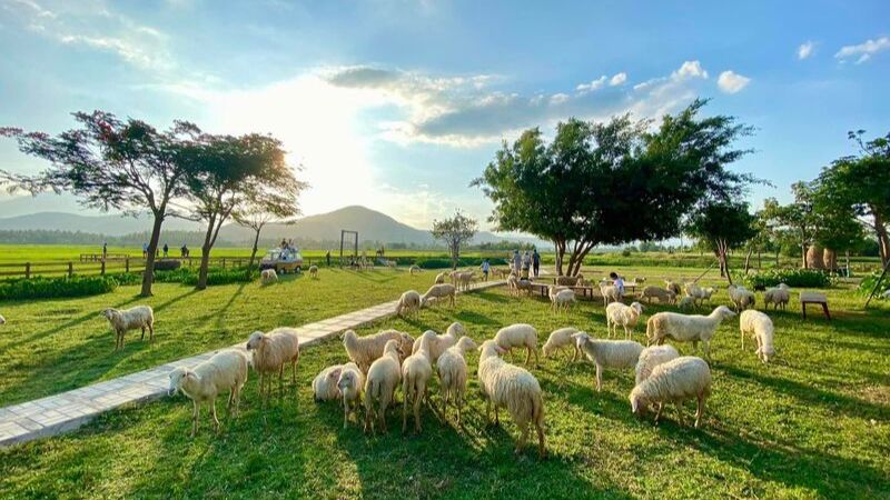 Đồng Cừu Suối Tiên