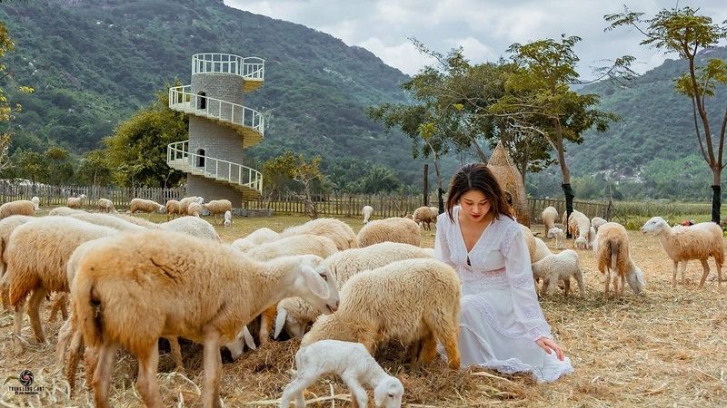 Đồng Cừu Suối Tiên