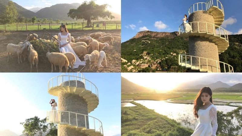 Đồng Cừu Suối Tiên