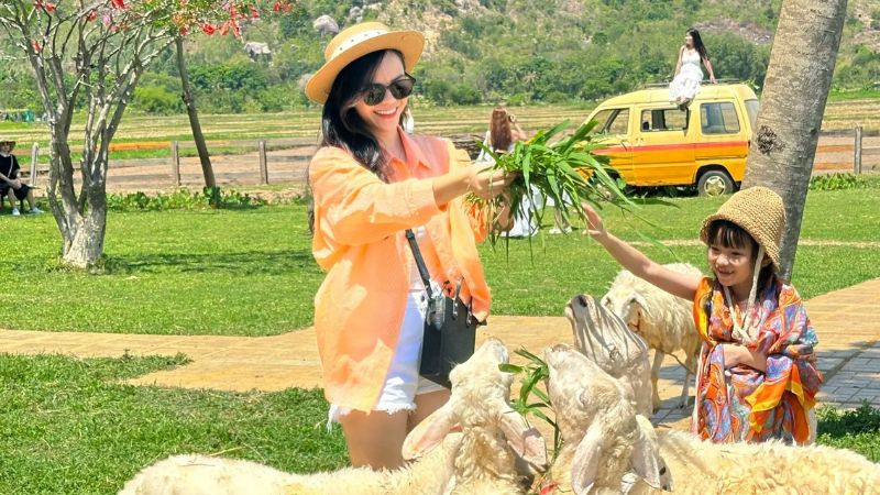 Đồng Cừu Suối Tiên