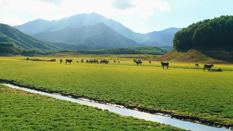 Hồ Hòa Trung Đà Nẵng