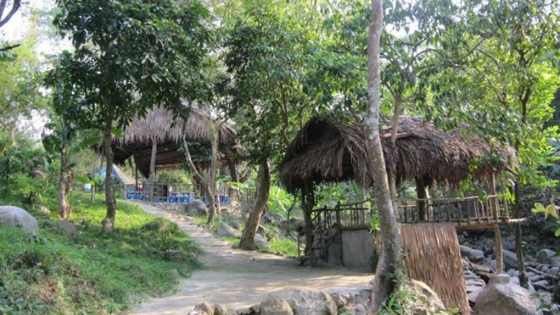 Nhất Lâm Thủy Trang Trà