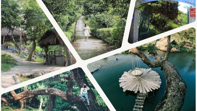 Nhất Lâm Thủy Trang Trà