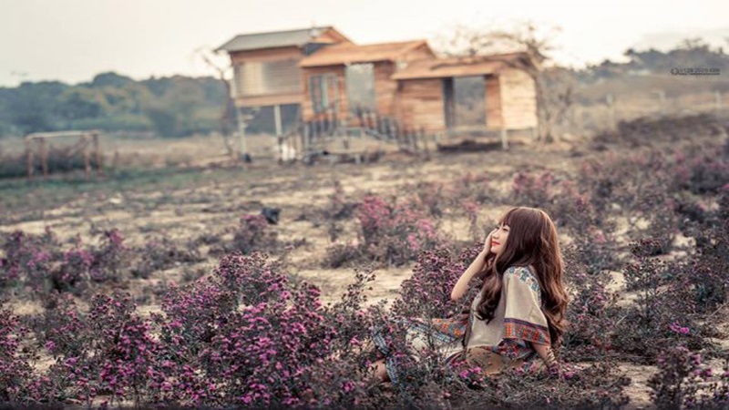 phim trường Thuận Phước Field