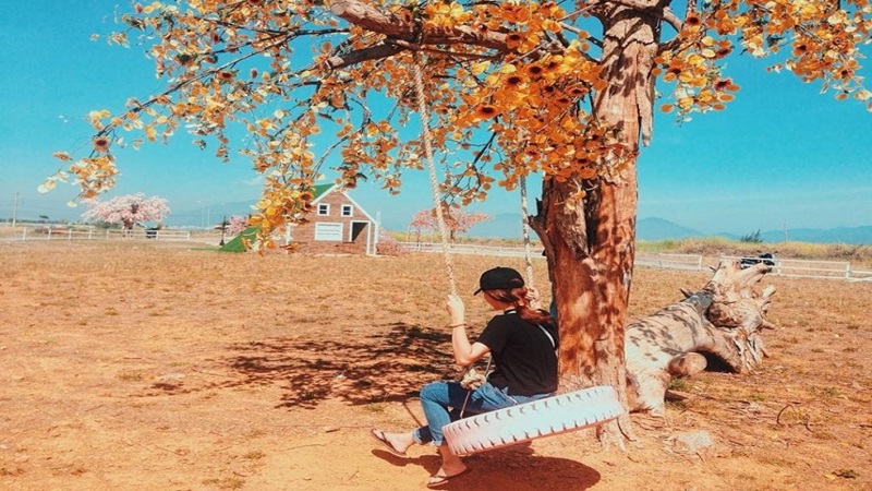 phim trường Thuận Phước Field