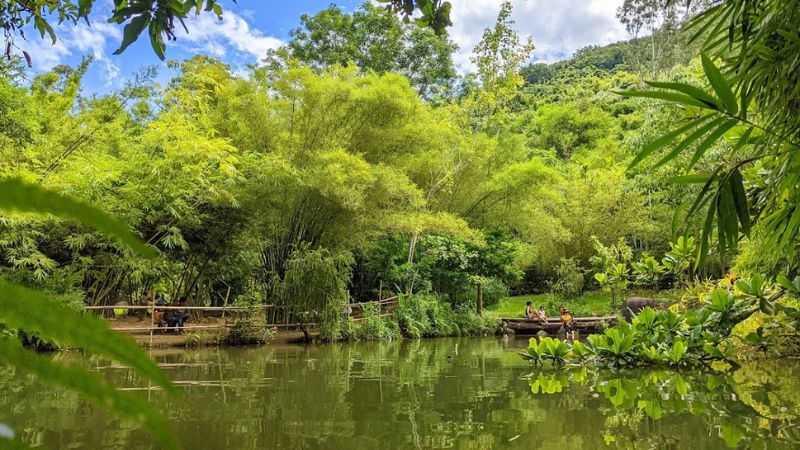 Sơn Trà Tịnh Viên