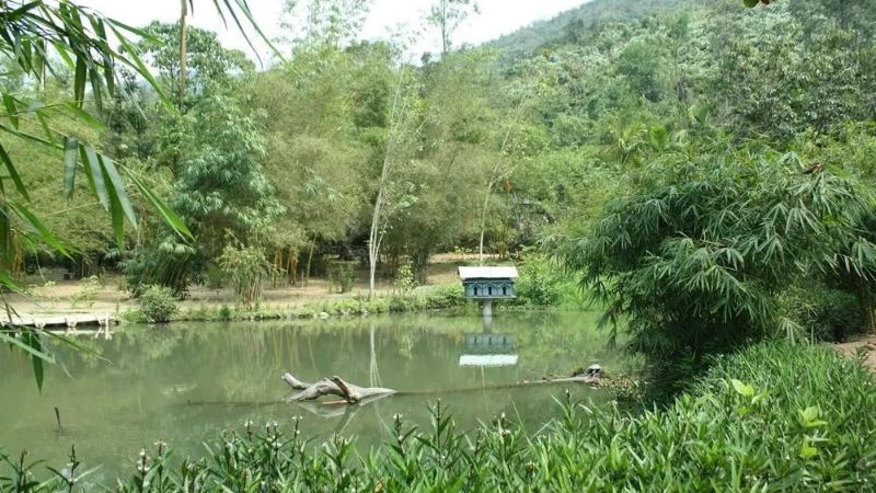 Sơn Trà Tịnh Viên