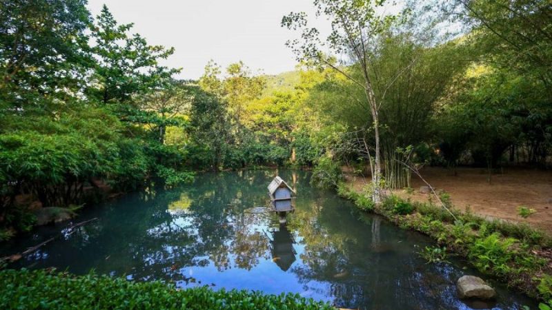 Sơn Trà Tịnh Viên