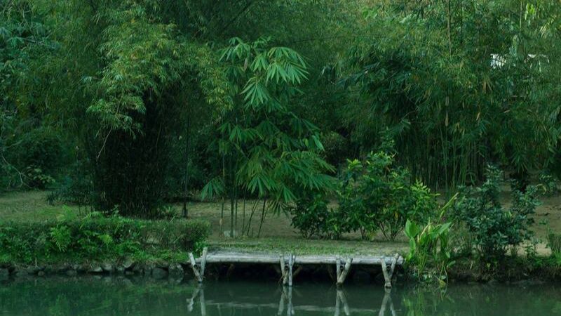 Sơn Trà Tịnh Viên