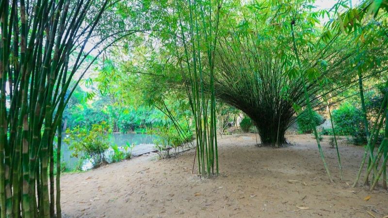 Sơn Trà Tịnh Viên