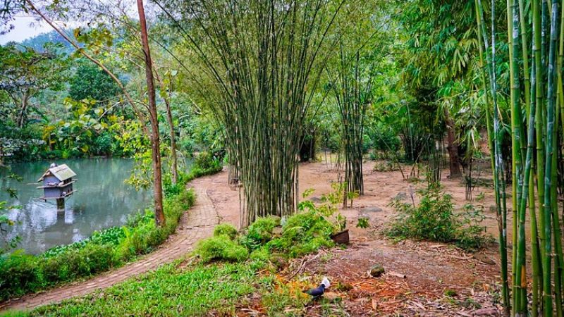 Sơn Trà Tịnh Viên