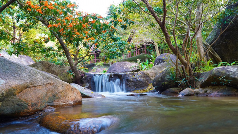 Khu Du Lịch Sinh Thái Suối Hoa-