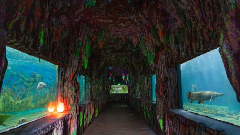 Thủy Cung Trí Nguyên Nha Trang