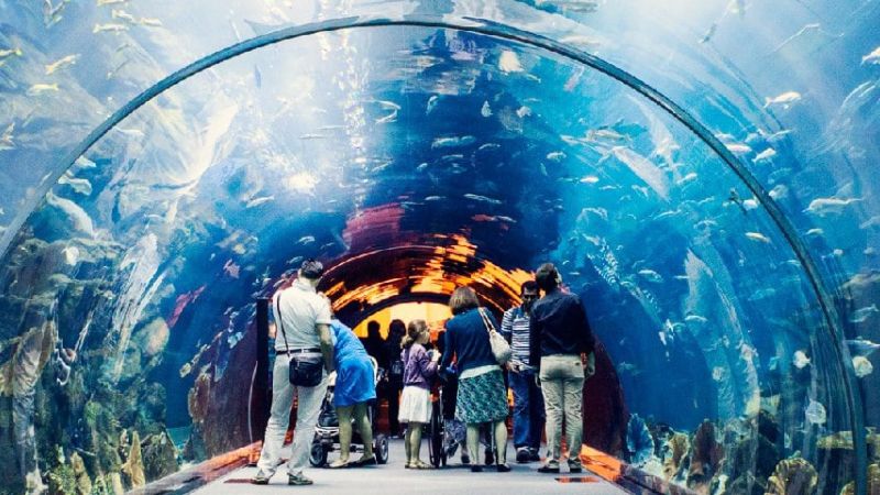 Thủy Cung Trí Nguyên Nha Trang