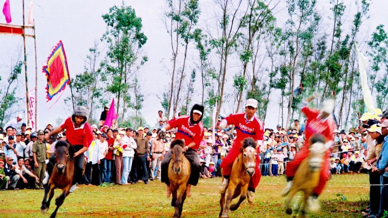 Những lễ hội bạn không nên bỏ lỡ khi đến Tour du lịch Phú Yên