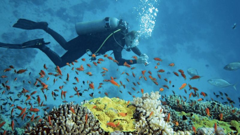 Vịnh San Hô Nha Trang