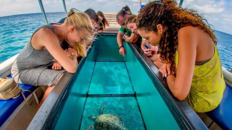 Vịnh Vĩnh Hy Nha Trang