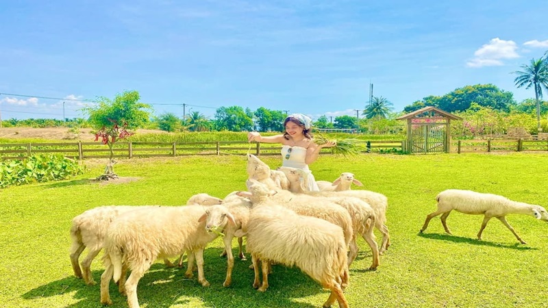 vườn nho ở Nha Trang