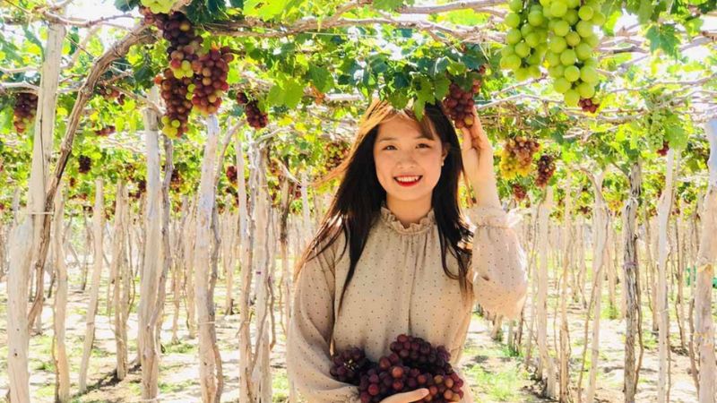 vườn nho ở Nha Trang
