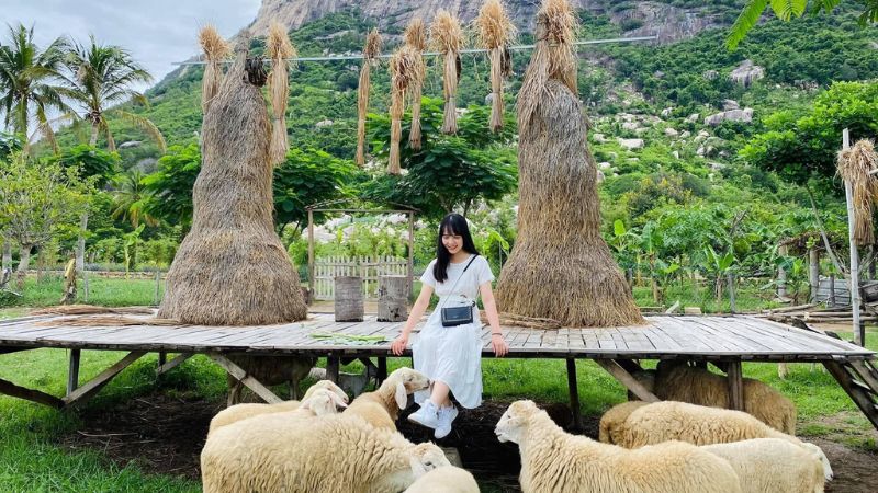 vườn nho ở Nha Trang