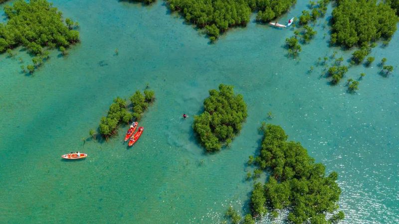 Đầm Bấy Nha Trang - Thiên đường sinh thái quyến rũ du khách