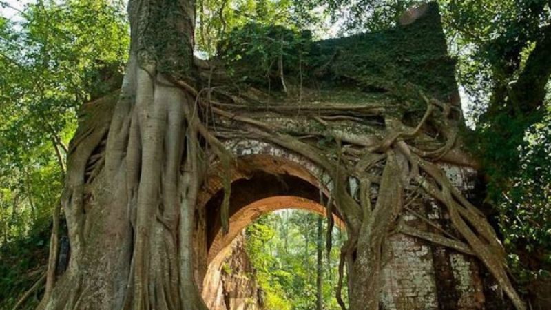 Làng cổ Phong Nam - Trải nghiệm Văn hóa đậm chất miền quê